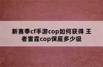 新赛季cf手游cop如何获得 王者雷霆cop保底多少级